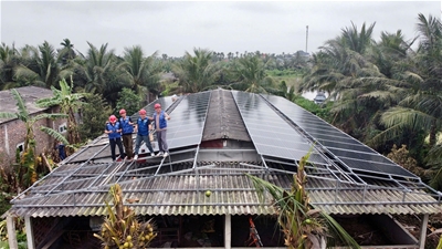 Lắp Điện Mặt Trời Trang Trại Chăn Nuôi 51,5kWp tại Kim Thành HP – Giải Pháp Tiết Kiệm Điện Hiệu Quả Cho Nông Nghiệp